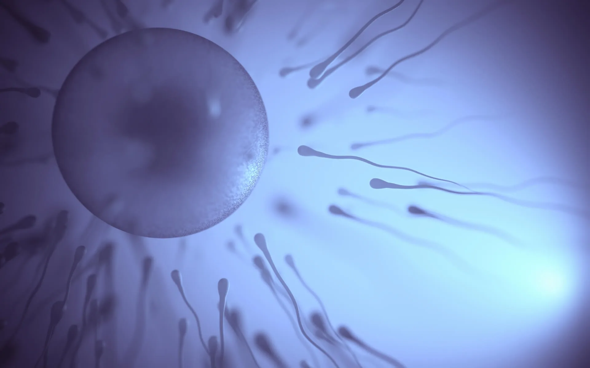 Ovulation Pain (Mittelschmerz): Timing, Duration, and What It Means for Fertility (2026)