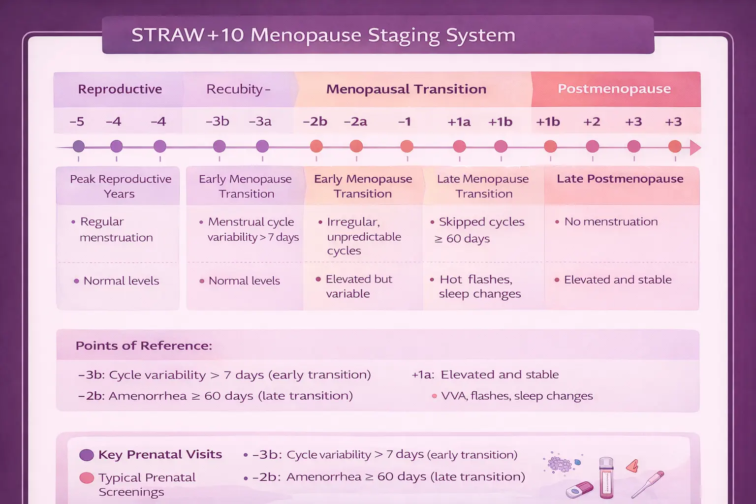 STRAW+10 staging timeline diagram showing stages from reproductive through postmenopause with menstrual and hormonal criteria